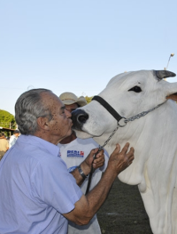 Imagem do depoimento