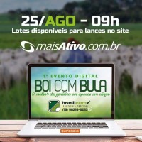 Imagem da notícia